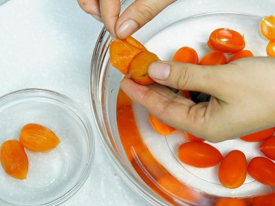 食譜-醬燒蕃茄雞丁