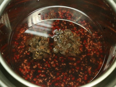 食譜-桂圓紅豆紫米粥