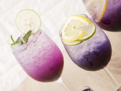 食譜-蝶豆漸層飲