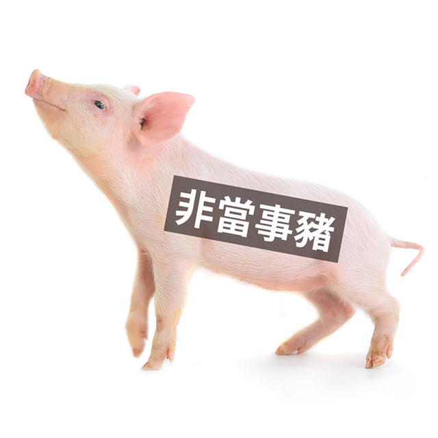 大象發福廚房_開箱推薦_專欄.jpg